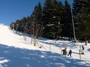 Bühlertallift 2 - Schlepplift mit T-Bügel/Anker