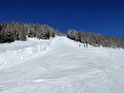 Schwarze Piste Sergerwiese