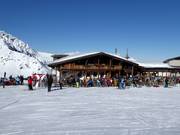 8er Alm in Hochfügen