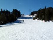 Übungshang Königswiese (Katschberghöhe)