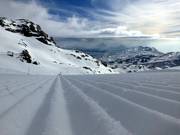 Bestens präpariert!