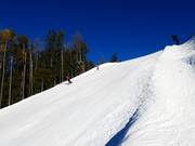 Kurzes schwarzes Teilstück Ried