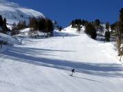 Waldschneisenabfahrten im unteren Bereich des Zehnerkar