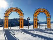 Parallel Riesenslalom Hexe