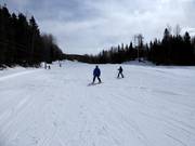 Übungshang mit eigenem Schlepplift an der Talstation