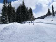 Zauberteppich Solitude