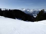 Schwendipiste mit Panorama