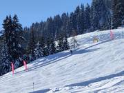 Geschwindigkeitsmessstrecke: Hexenschuss am Siller-Keat in Söll