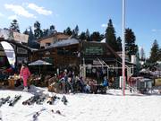 Pappa Mia Steak House