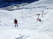 Kari Traa-trekket - Schlepplift mit T-Bügel/Anker