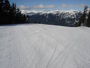 Perfekt präparierte Piste