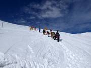Aufstieg zum Mt. Niseko Annupuri