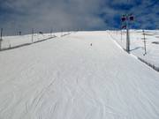 Piste Maaliman Cup (Nr. 25)