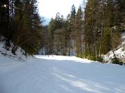 Talabfahrt Sauhöll nach Bayrischzell