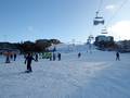Bilder Mt. Buller