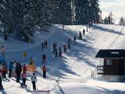 Seillift Abfahrt Tauplitz - Seillift/Babylift mit niederer Seilführung