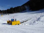 Förderbänder Madessa in Ravascletto