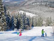 Gut geneigt – der obere Hang