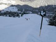 Schwere Piste 8 Mohrenkopf