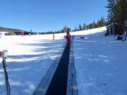 Big Sky Carpet Surface Lift 5 (Skiwee) - Förderband/Zauberteppich