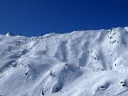 Schwarze Piste Black Mamba