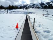 Das Förderband Jelly Bean