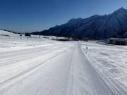 Perfekte Anfängerpiste Valbiolo am Passo del Tonale
