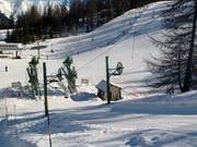 Bois des Coqs 1 - Tellerlift