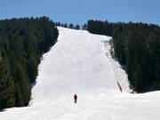 Schwarze Piste Chalin Valog