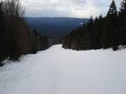 Blick auf die Skiabfahrt