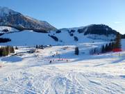 Blick bis zum Gschlössl