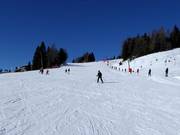 Übungshang am Tellerlift Bidner