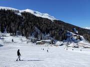 Großzügiges Anfängerareal Kaserwald