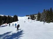 Piste Nr. 14 Knezevseke