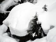 Reichlich Naturschnee ist die Regel im Espace Diamant