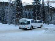 Sunshine Village Shuttle Bus