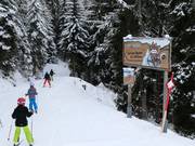 Tipp für die Kleinen  - Kinderparcours "Auf den Spuren der Wildtiere"