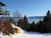 Beschneiung am Hohenbogen