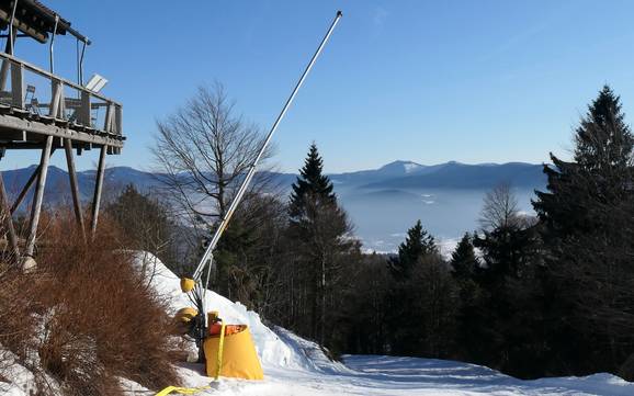 Schneesicherheit Hohenbogenwinkel – Schneesicherheit Hohenbogen – Neukirchen bei Hl. Blut