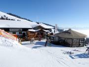 Berghütten Tipp Holzalm Brixen