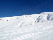 Blick von Pete's Treat über die Saddle Basin