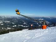 Umfassende Beschneiung am Arber