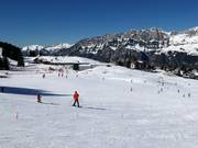Leichte Pisten bei den Schleppliften Schwammkopf und Tannenboden