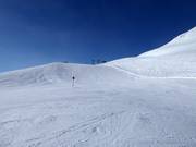 Leichte Piste Nr. 2 Wilder Mann