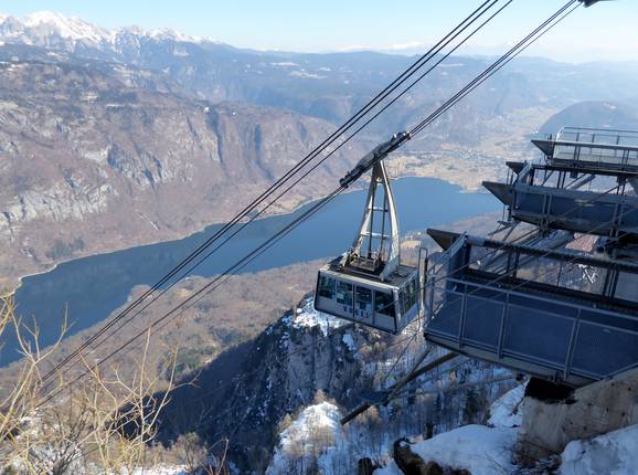Bohinj-Vogel