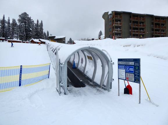 Huckleberry Conveyor