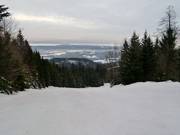 Breite Waldschneisenabfahrten führen zu Tale