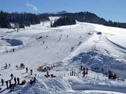 Für Anfänger: Weite Hänge an der Winklmoosalm