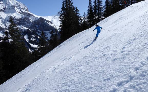 Skigebiete für Könner und Freeriding Engstligental – Könner, Freerider Adelboden/Lenk – Chuenisbärgli/Silleren/Hahnenmoos/Metsch