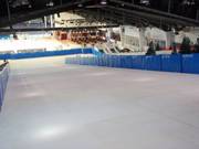 Blick auf die Trockenskipiste